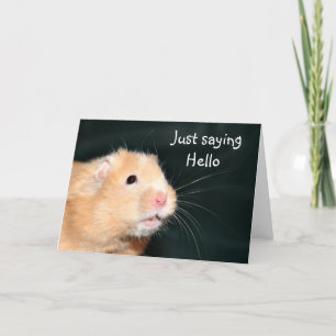 Hallo Hamster Karte