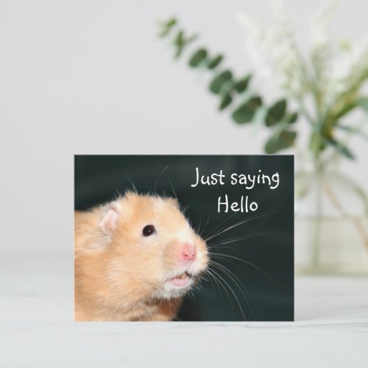 Hallo Hamster Postkarte (Stehend Vorderseite)