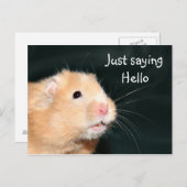 Hallo Hamster Postkarte (Vorne/Hinten)