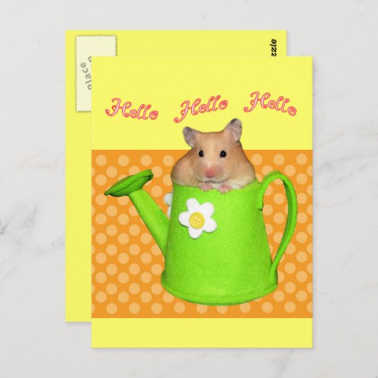 Hallo hello hamster postkarte (Vorne/Hinten)