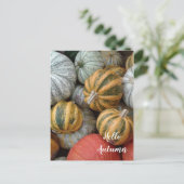 Hallo Herbst - Gourds Postkarte (Stehend Vorderseite)