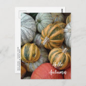Hallo Herbst - Gourds Postkarte (Vorne/Hinten)