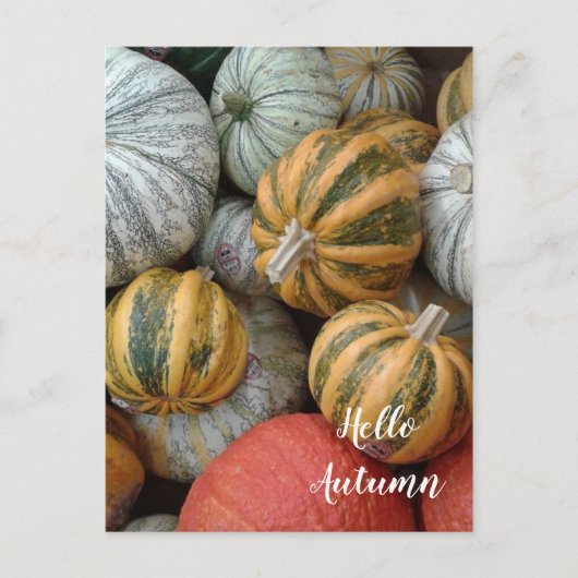 Hallo Herbst - Gourds Postkarte (Vorderseite)