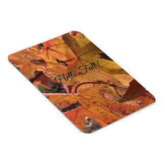 "Hallo Herbst!" Kühlschrankmagnet Magnet