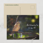 Hallo, Hi, Bird-American Goldfinch Postkarte (Vorne/Hinten)