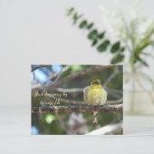 Hallo, Hi, Bird-American Goldfinch Postkarte (Stehend Vorderseite)