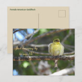 Hallo, Hi, Bird-American Goldfinch Postkarte (Vorne/Hinten)
