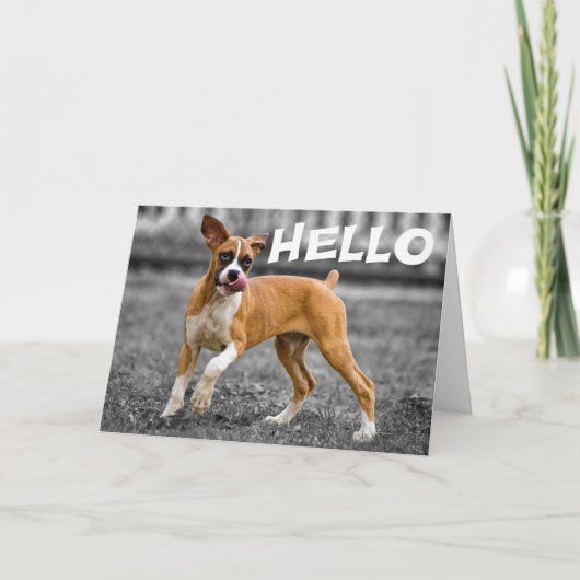 Hallo / Hi Boxer Welpe Hund - Freundschaft, Miss Y Karte (Vorderseite)
