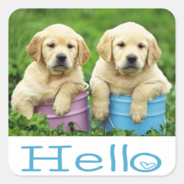 Hallo / Hi Labrador Retriever Puppy Dockingkleber Quadratischer Aufkleber