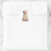 Hallo / Hi Labrador Retriever Welpe Hunde Stickers (Tasche)