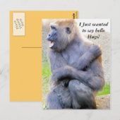 Hallo Hug_ Postkarte (Vorne/Hinten)