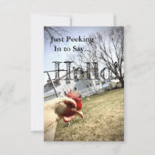 "Hallo!" Hühnerkarte Dankeskarte (Vorderseite)