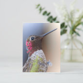 Hallo Hummingbird Postkarte (Stehend Vorderseite)