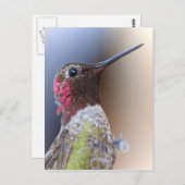 Hallo Hummingbird Postkarte (Vorne/Hinten)