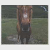HALLO ICH BIN EIN PFERD GESCHENKPAPIER (Flach)