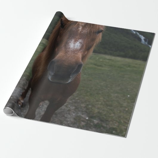 HALLO ICH BIN EIN PFERD GESCHENKPAPIER (Ungerollt)