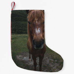 HALLO ICH BIN EIN PFERD KLEINER WEIHNACHTSSTRUMPF