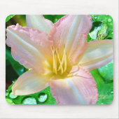 "Hallo, ich bin eine schöne Blume", Mausklick Mousepad (Vorne)