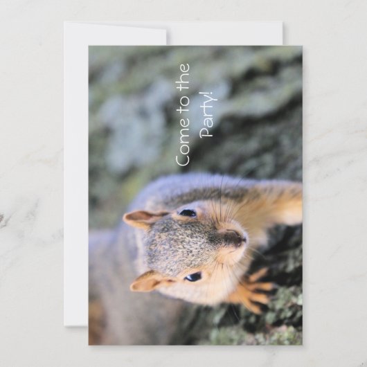 Hallo! Ich bin Liebling! Einladung (Vorderseite)