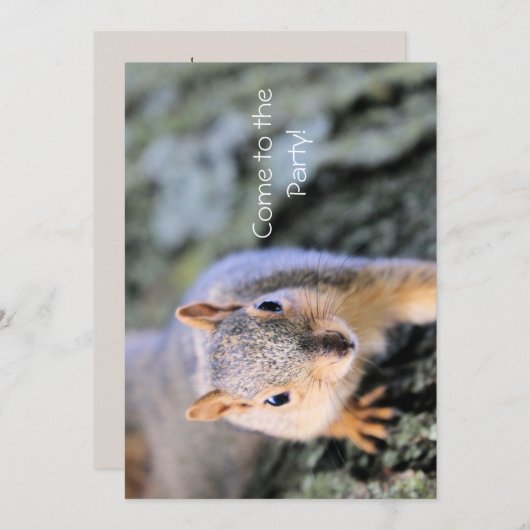 Hallo! Ich bin Liebling! Einladung (Vorne/Hinten)