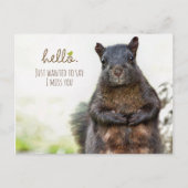 Hallo ich Miss Sie Postkarte (Vorderseite)