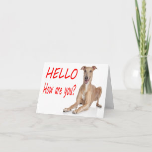 Hallo Italienische Windhund-Welpen-Hund Leer Notiz Karte