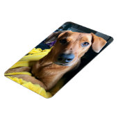 Hallo Jeder Magnet (Linke Seite)