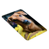 Hallo Jeder Magnet (Rechte Seite)