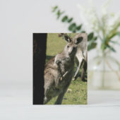 Hallo Kanga Postkarte (Stehend Vorderseite)