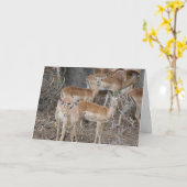 Hallo Karte (Gelbe Blume)