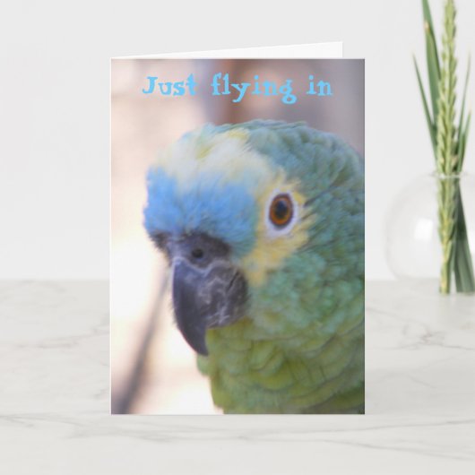 Hallo Karte (Vorderseite)