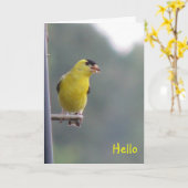 Hallo Karte (Gelbe Blume)