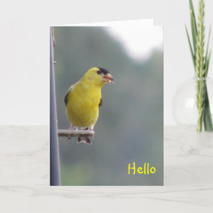 Hallo Karte