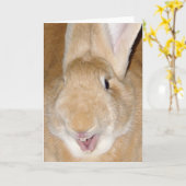 Hallo Karte (Gelbe Blume)