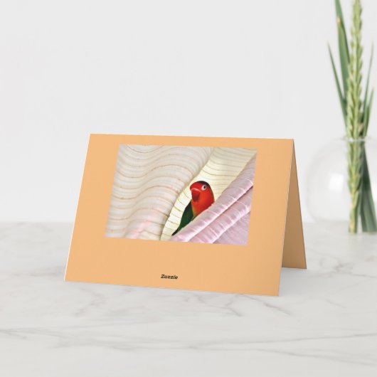 Hallo! Karte (Rückseite)