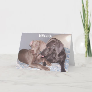 , HALLO! KARTE