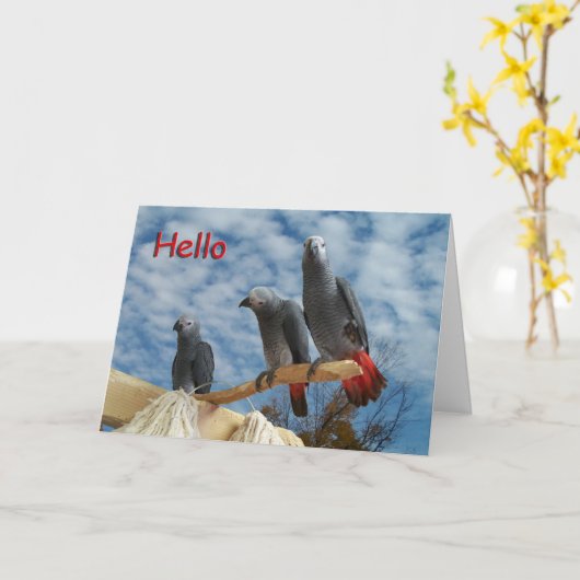 Hallo Karte (Gelbe Blume)