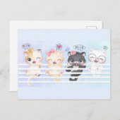 Hallo Kittens Postkarte (Vorne/Hinten)
