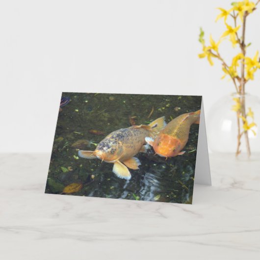 Hallo Koi Geburtstag Karte (Gelbe Blume)