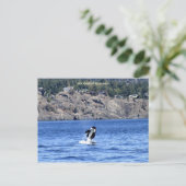 Hallo, komm einfach auf! postkarte (Stehend Vorderseite)