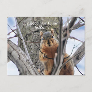 Hallo, komm rein. feiertagspostkarte