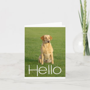 Hallo Labrador Retriever Welpen Grußkarte Karte
