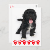 Hallo Lächeln Shih Tzu Black and White Puppy Dog Postkarte (Vorne/Hinten)
