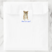 Hallo Long Haired Chihuahua Puppy Doppy Sticker (Tasche)