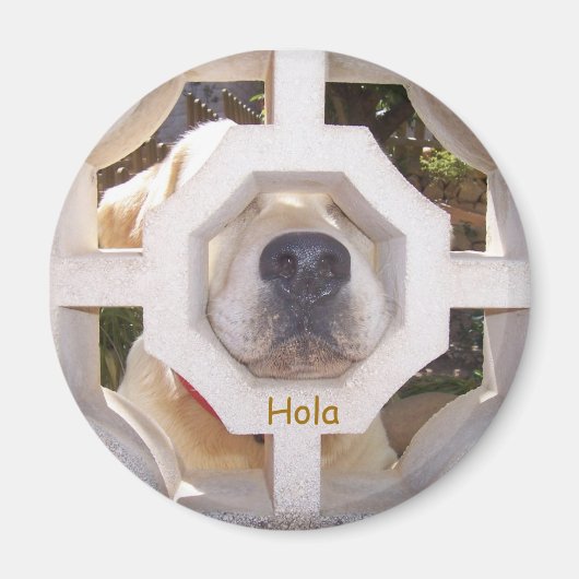 Hallo Magnet (Vorne)