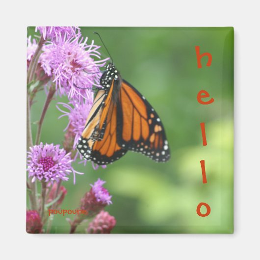 Hallo Magnet (Vorne)
