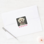 Hallo Maltese Puppy Hund Stickers / Siegel (Umschlag)