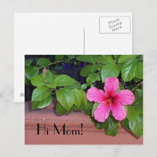 Hallo Mama! Blume Postkarte (Vorne/Hinten)