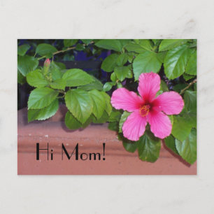 Hallo Mama! Blume Postkarte