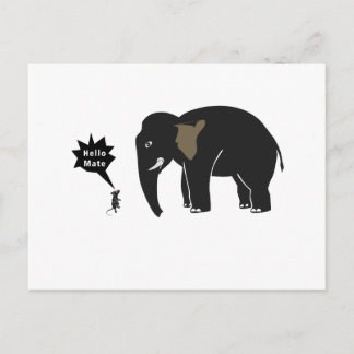 Hallo Mate! Postkarte